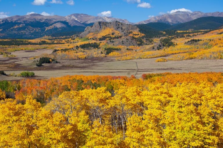 9 Glorious Places to See Colorado's Fall Colors - Territory Supply