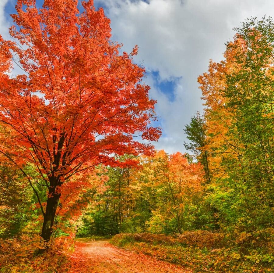 9 Amazing Places to See Fall Colors in Michigan