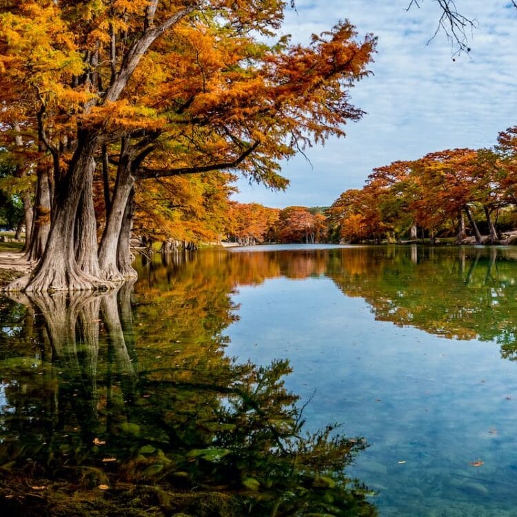 8 Incredible Spots to See Fall Foliage in Arkansas - Territory Supply