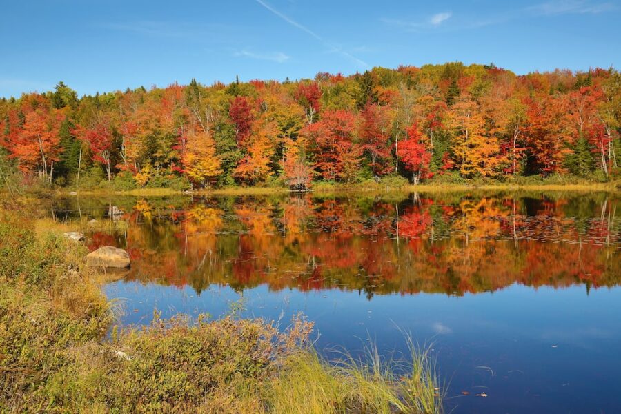 Where to View the Best Fall Colors in New England - Territory Supply