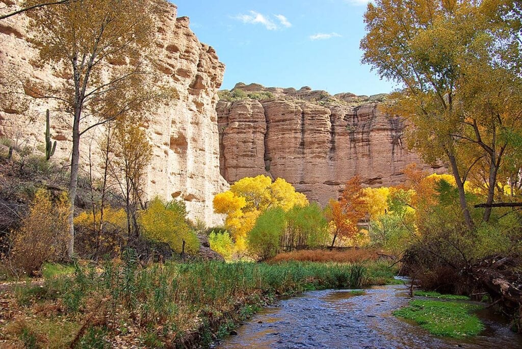 7 Spectacular Places to See Arizona's Fall Colors - Territory Supply