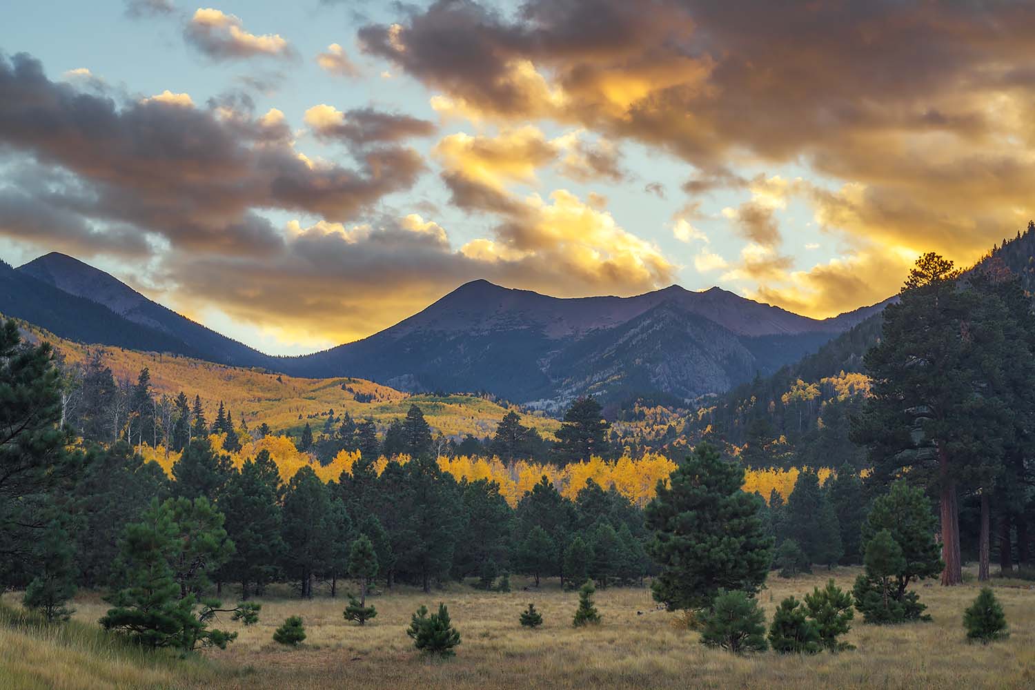 7 Spectacular Places to See Arizona's Fall Colors Territory Supply