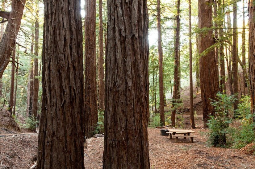 11 Epic Winter Camping Spots in California - Territory Supply