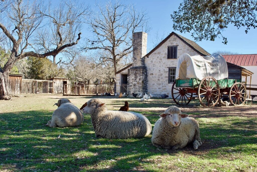 The 9 Best State Parks Near Austin, Texas - Territory Supply