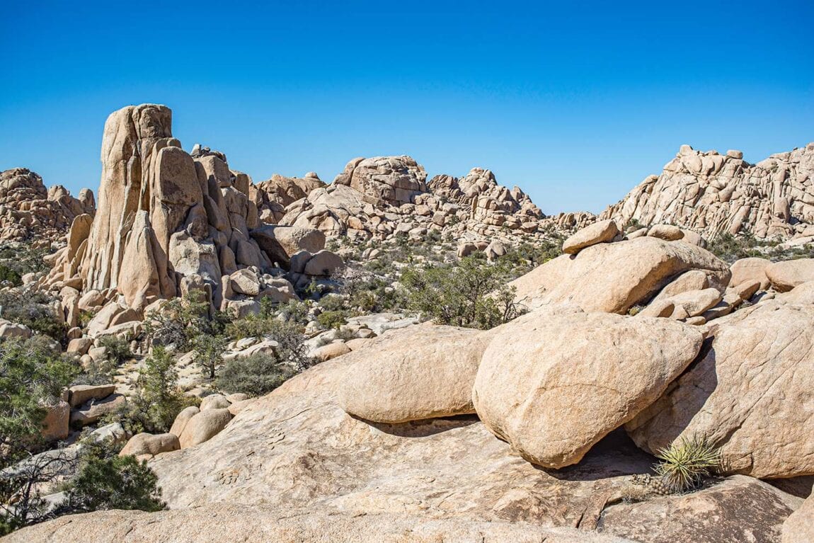 backpacking trip joshua tree