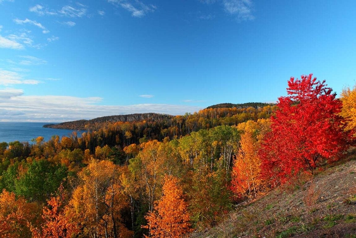 Fall Colors Minnesota 2025 Agnes Jackquelin