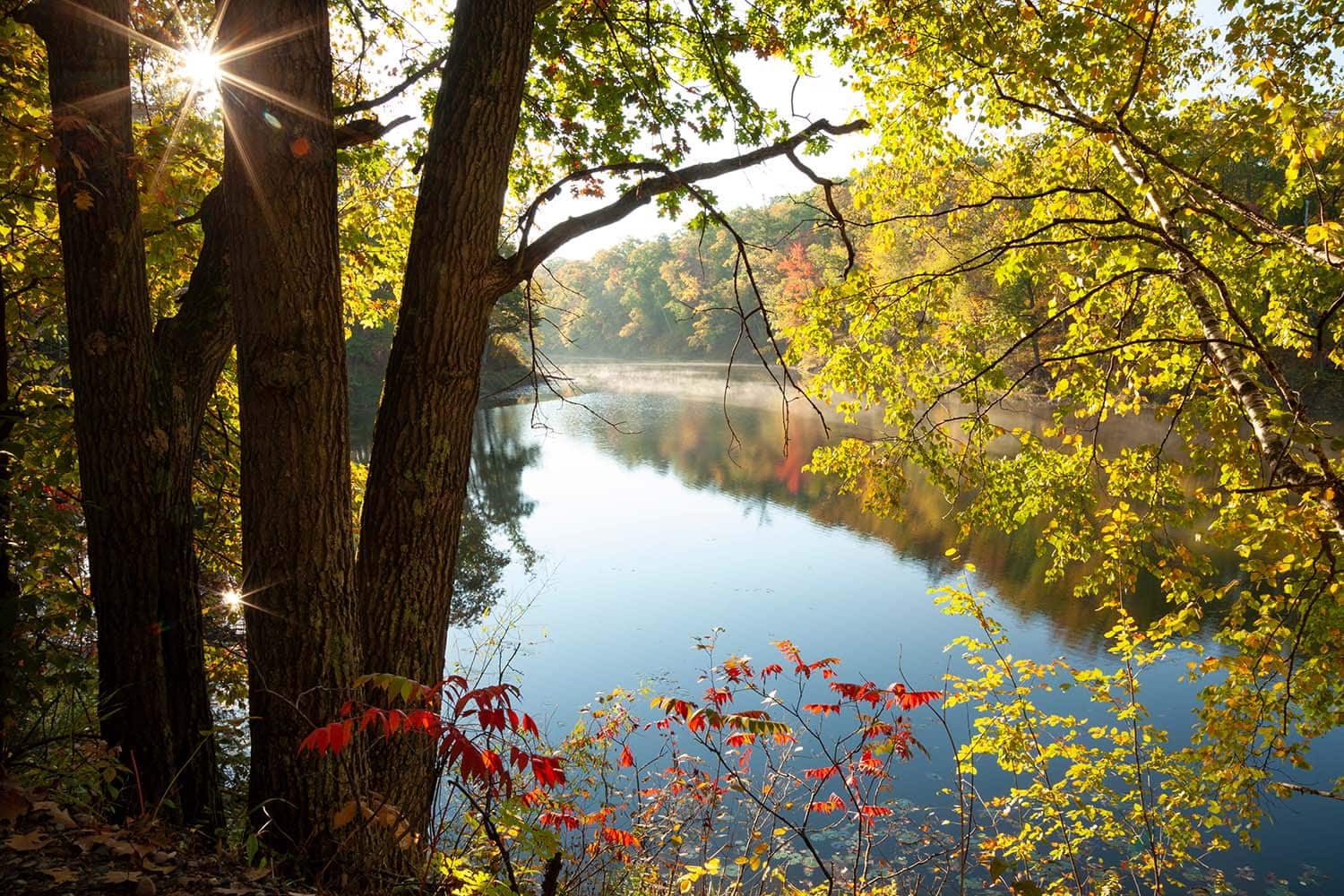 8 Spectacular Places to See Fall Colors in Minnesota
