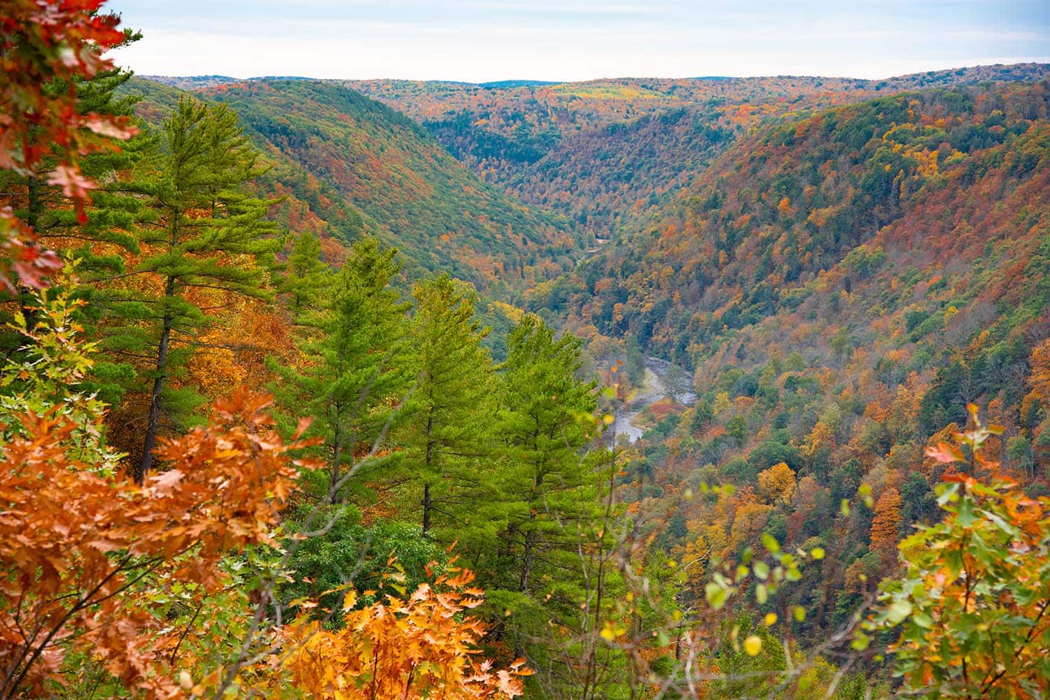 12 Best Spots to See Pennsylvania’s Fall Foliage Territory Supply