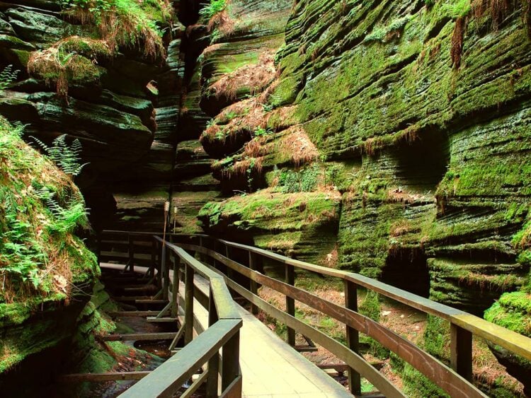 The 10 Best Hiking Trails in the Wisconsin Dells - Territory Supply