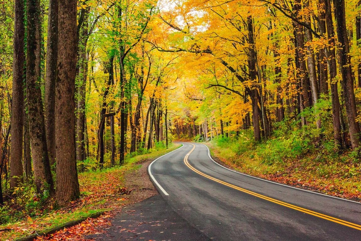 The 12 Best Spots to See Tennessee’s Fall Foliage Territory Supply