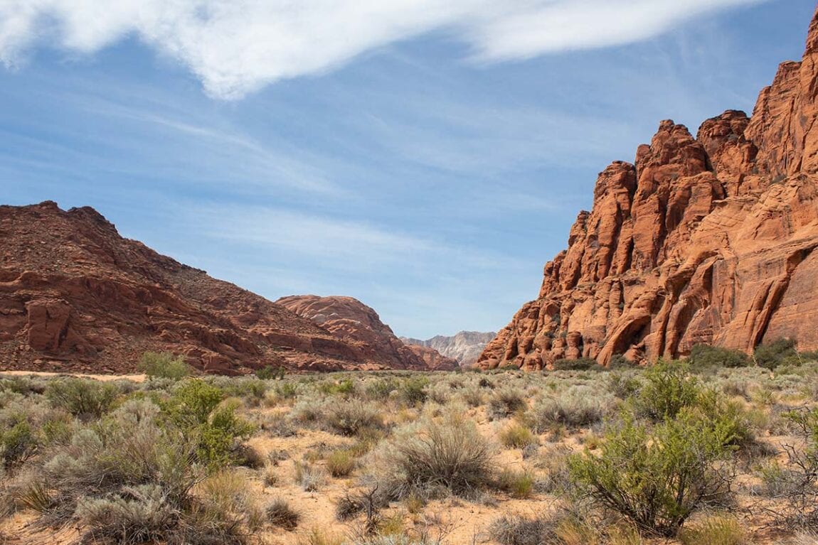 11 Fun Family-Friendly Hikes Near St. George, Utah - Territory Supply