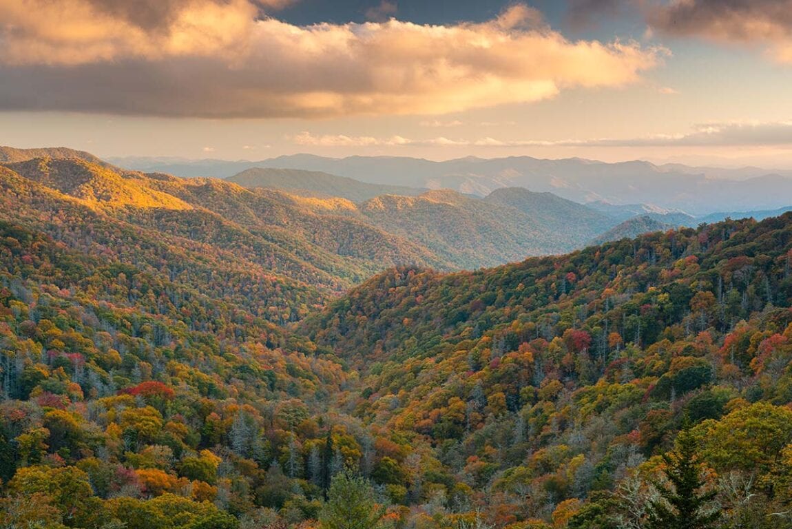 The 12 Best Spots to See Tennessee’s Fall Foliage Territory Supply