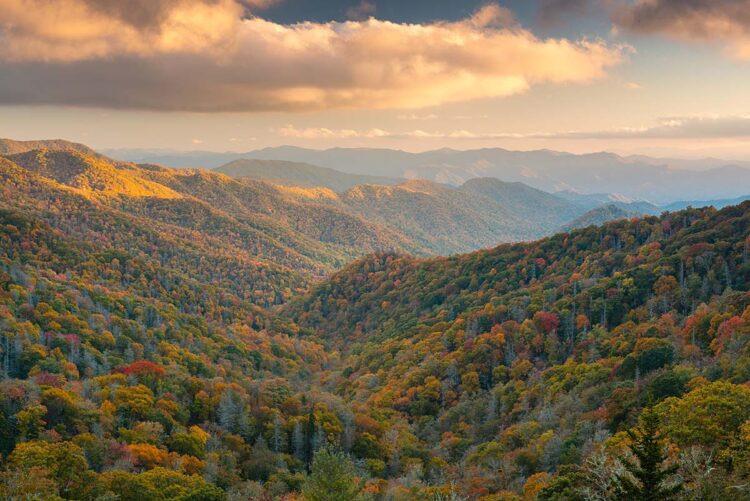 the-12-best-spots-to-see-tennessee-s-fall-foliage-territory-supply