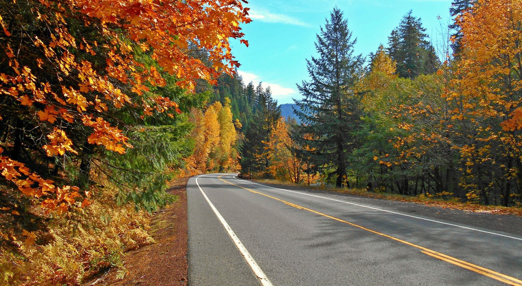 12 Spots to See Fall Colors in Oregon Territory Supply