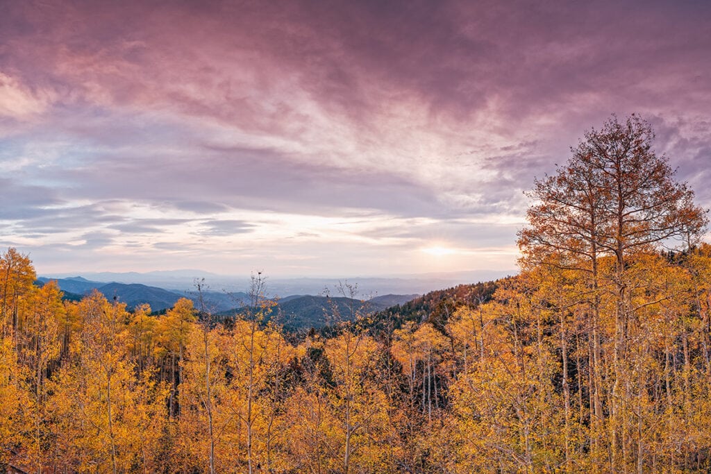 12 Best Spots to See the Fall Colors in New Mexico Territory Supply