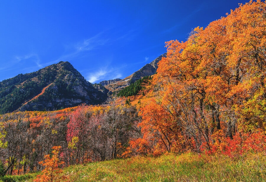 12 Best Spots to See the Fall Colors in Utah Territory Supply