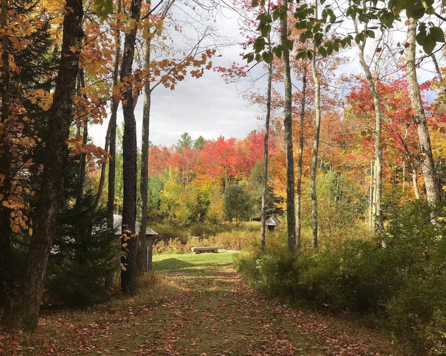 12 Best Spots to See Fall Foliage in the Catskills Territory Supply