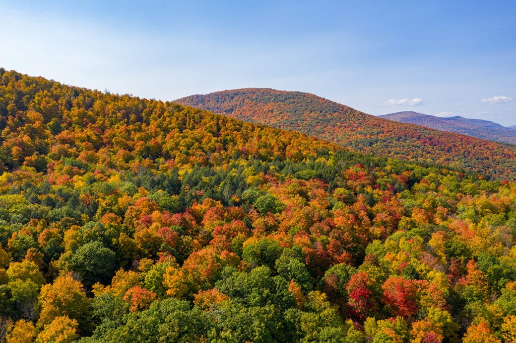 12 Best Spots to See Fall Foliage in the Catskills Territory Supply