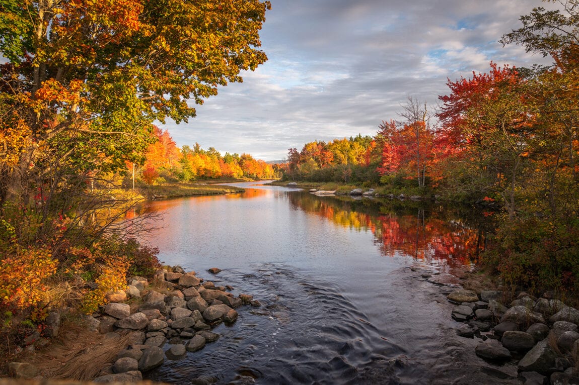 Maine Peak Fall Foliage 2025