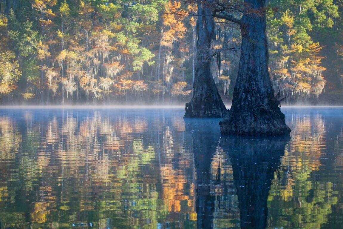 Texas State Parks: Where the Wild Things Are (And So Are You!)