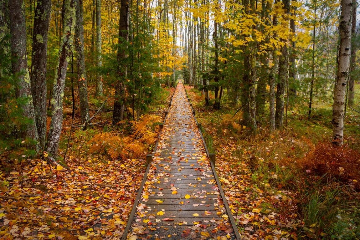 10 Must-Do Activities During the Fall in Maine - Territory Supply