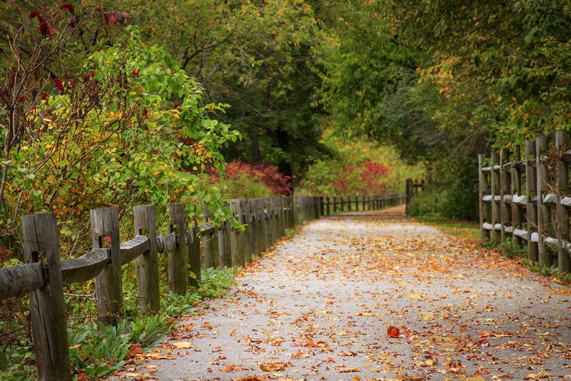 15 Fantastic Things to Do in the Fall in Rhode Island