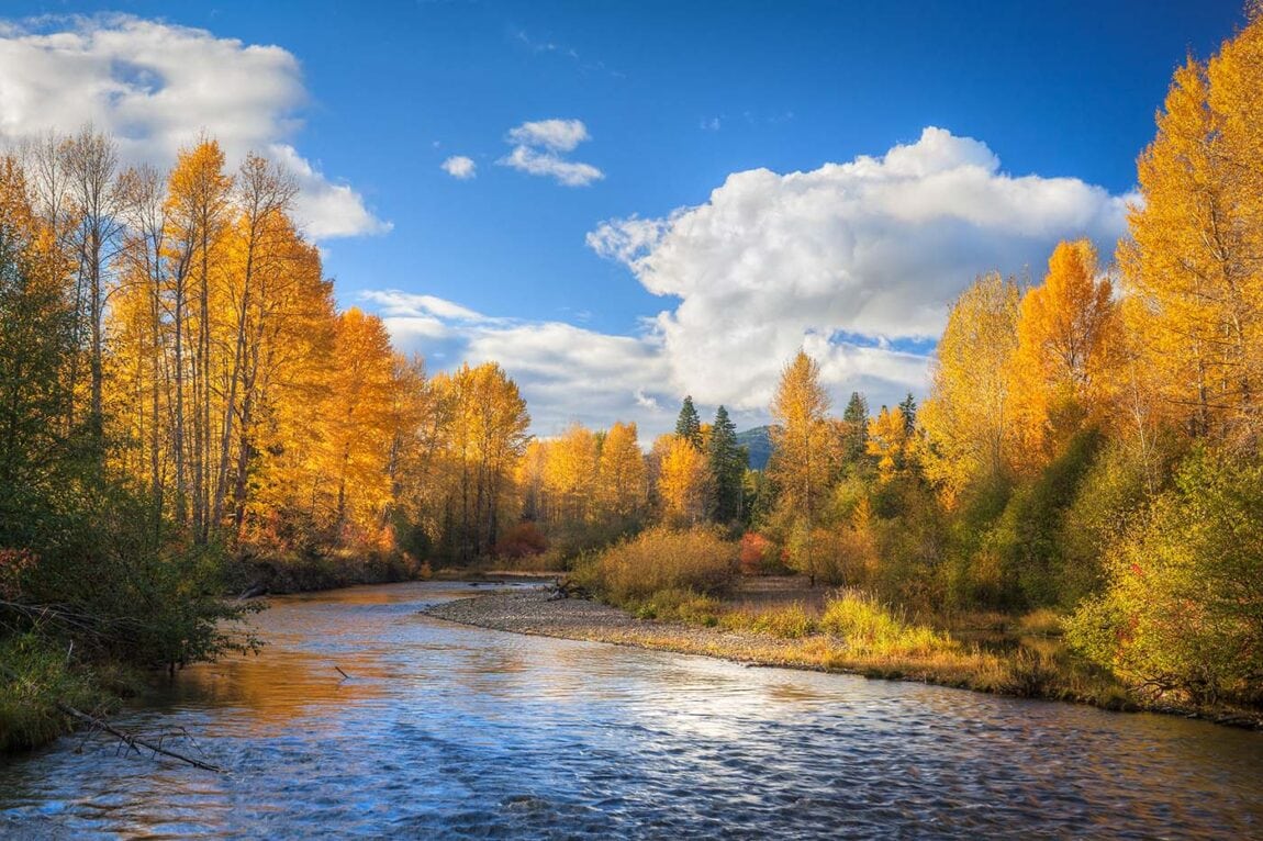 9 Places to See Fall Colors in Washington State Territory Supply