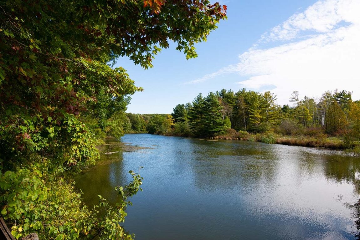 10 Refreshing Michigan Swimming Lakes for a Summertime Dip