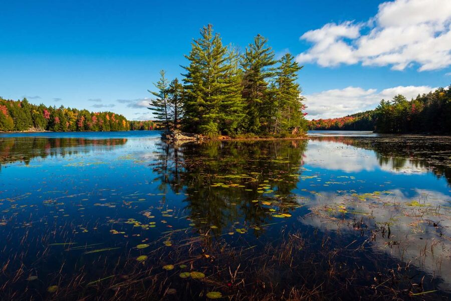 The 8 Best Camping Spots in the Adirondacks - Territory Supply