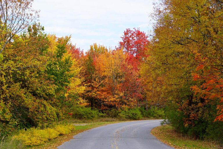 The Best Great Lakes Islands for a Scenic Midwest Vacation