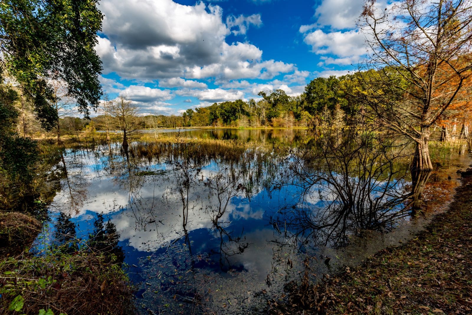 Park Life: Do State Parks Close? Unlocking the Secrets of Nature's Sanctuaries