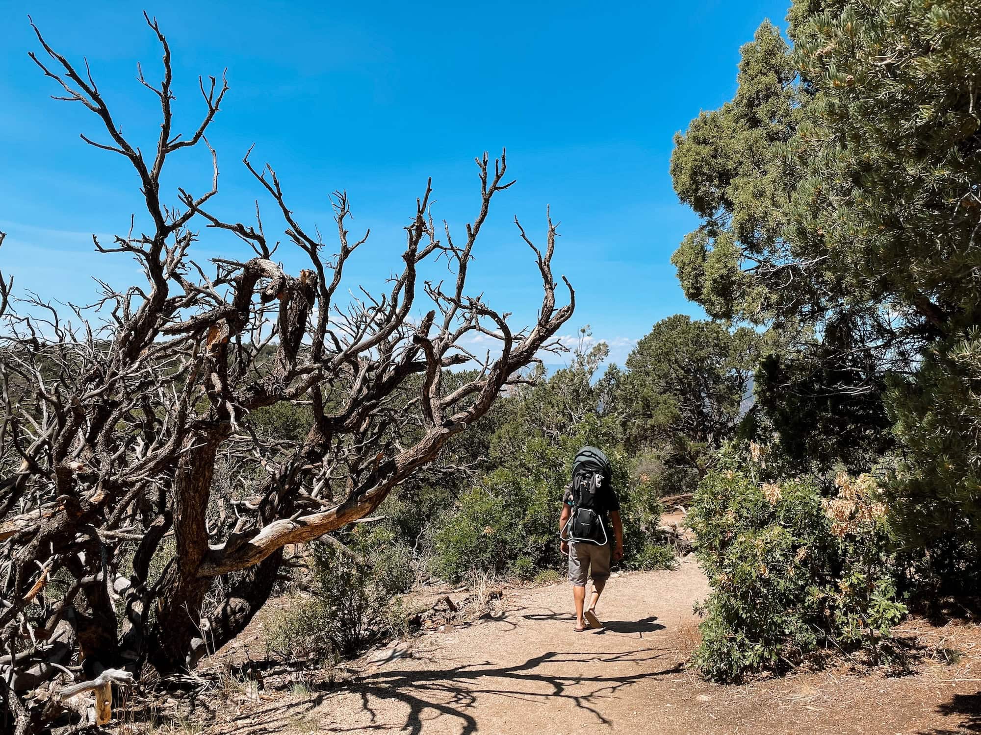 Hiking along the Warner Point Trail