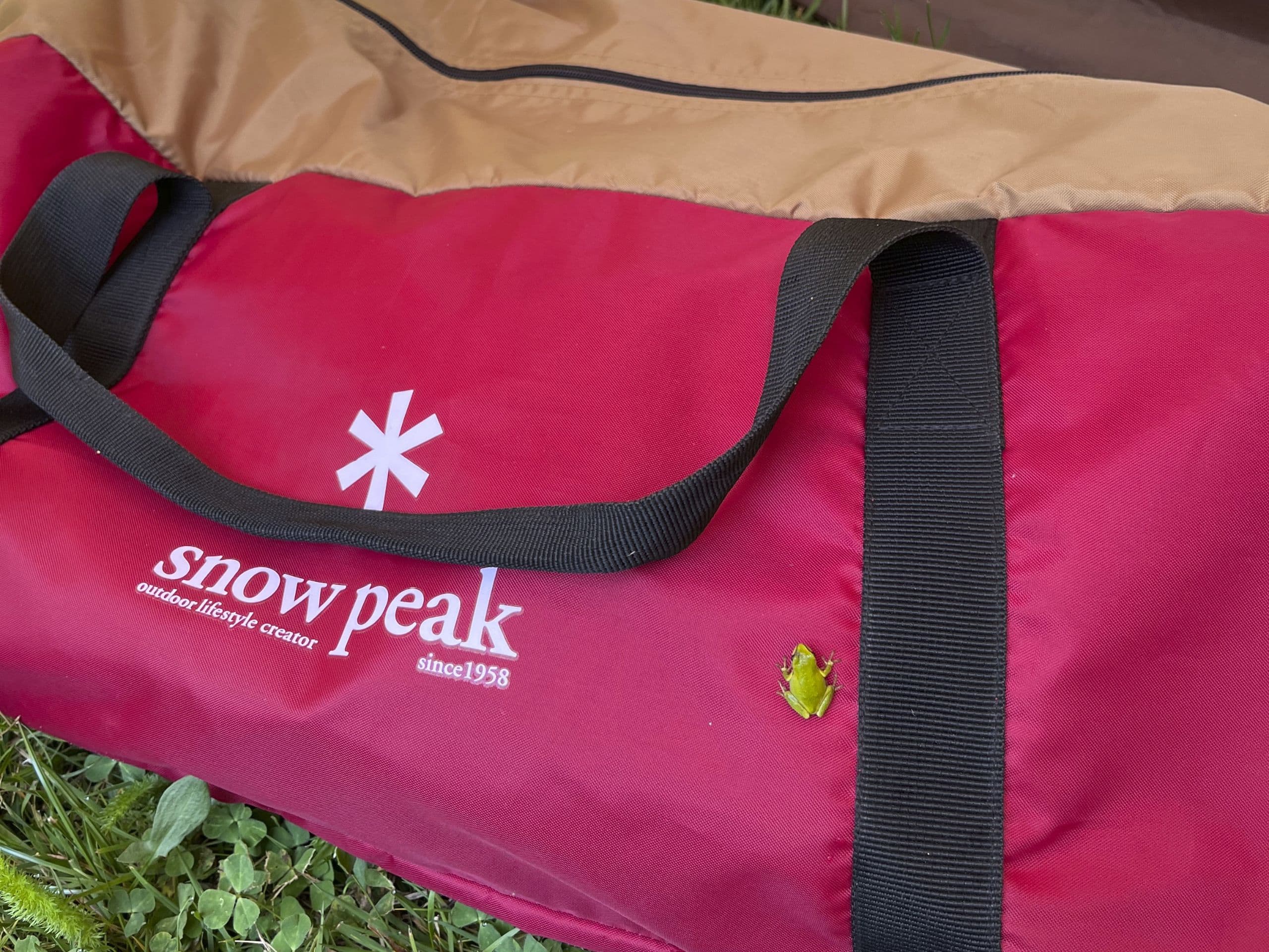 Frog on bag