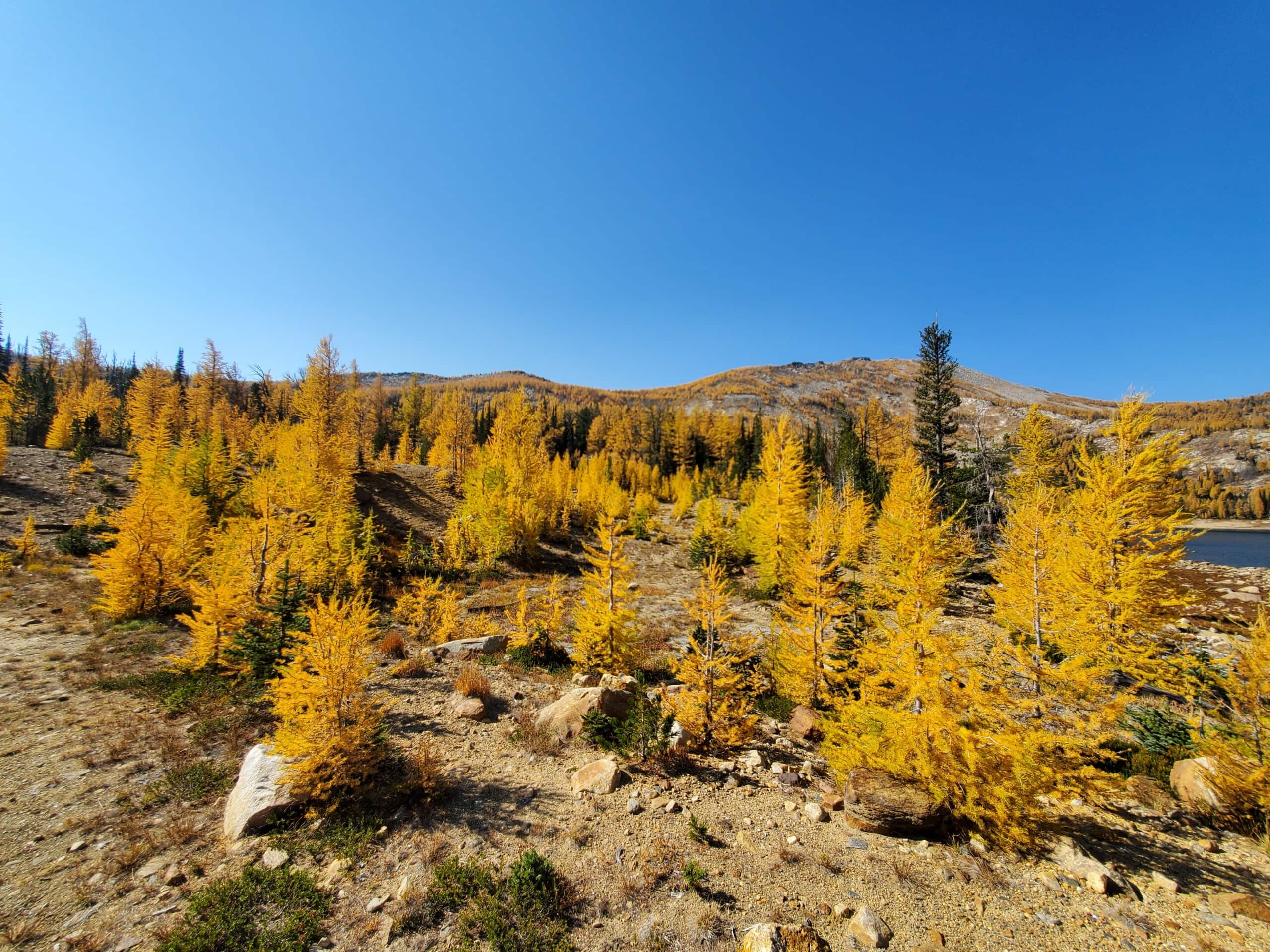 Lolo Peak Trail in September