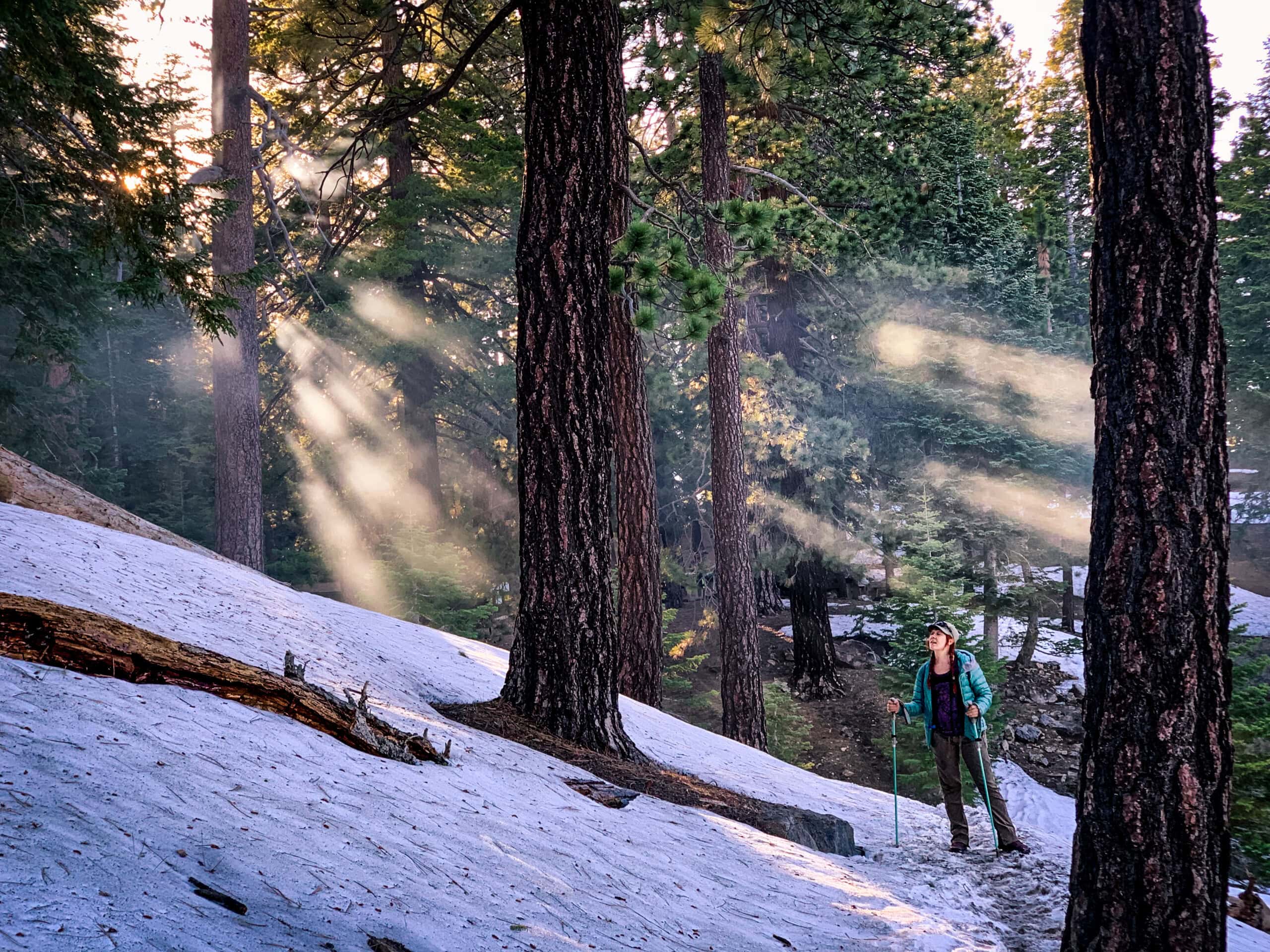 Mount Baden Powell