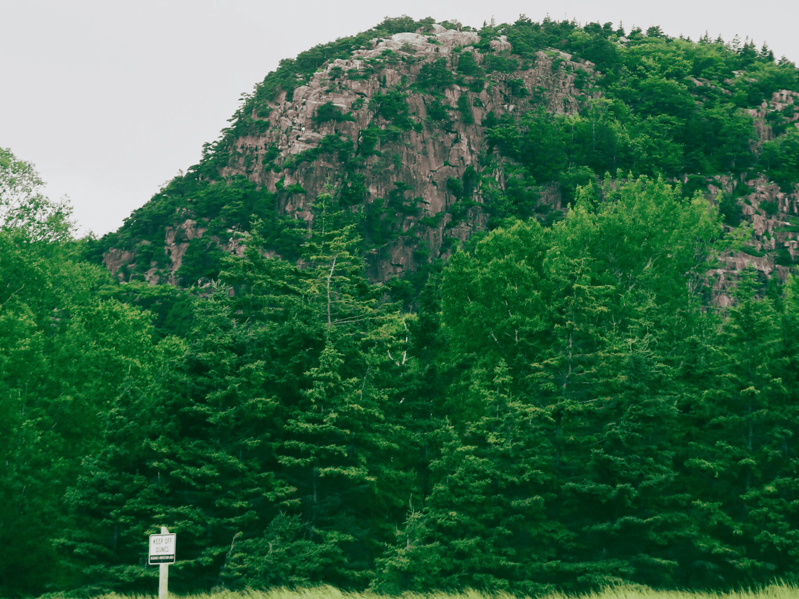 View of Beehive from parking lot