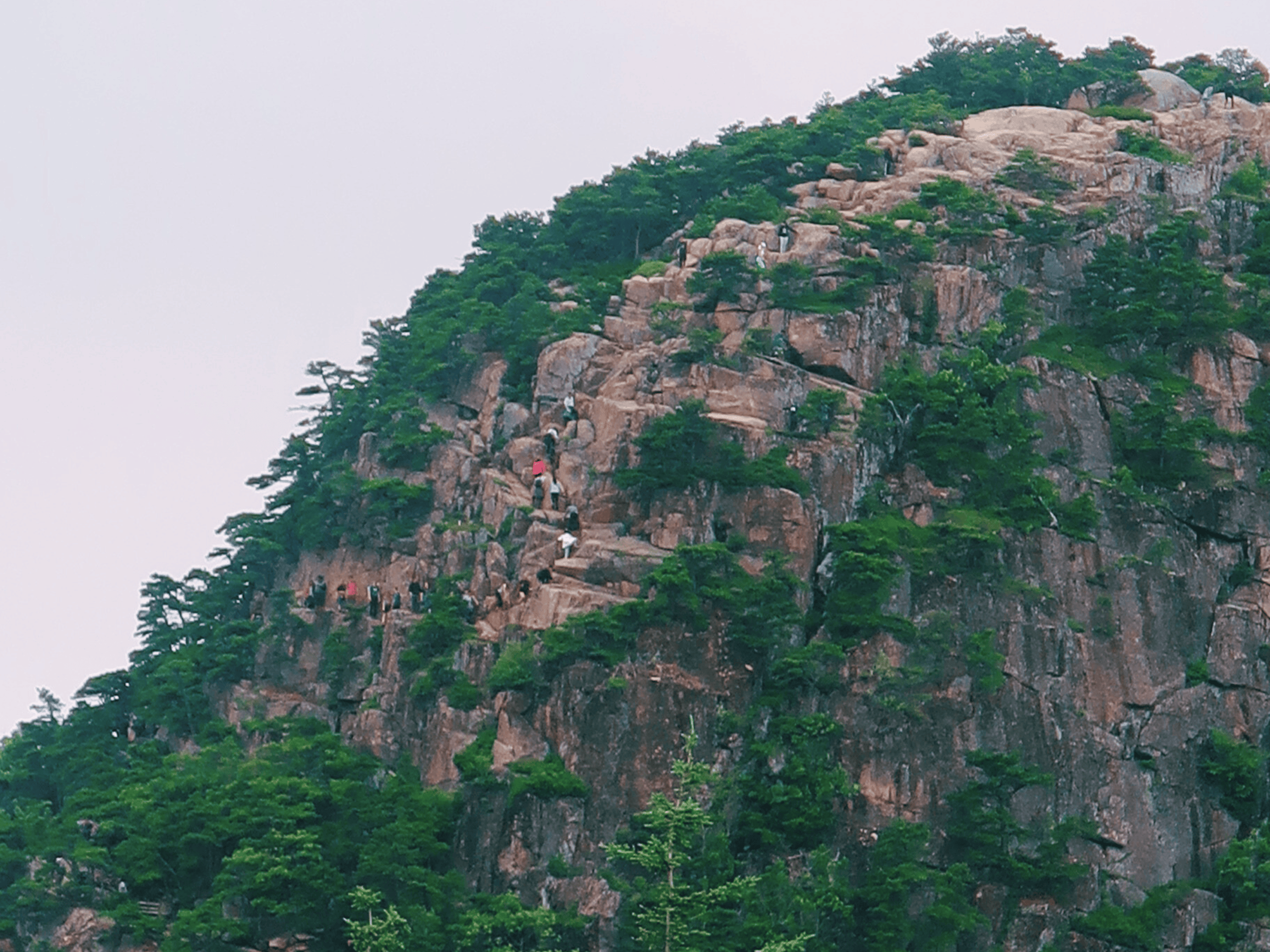 View of people walking up Beehive Trail