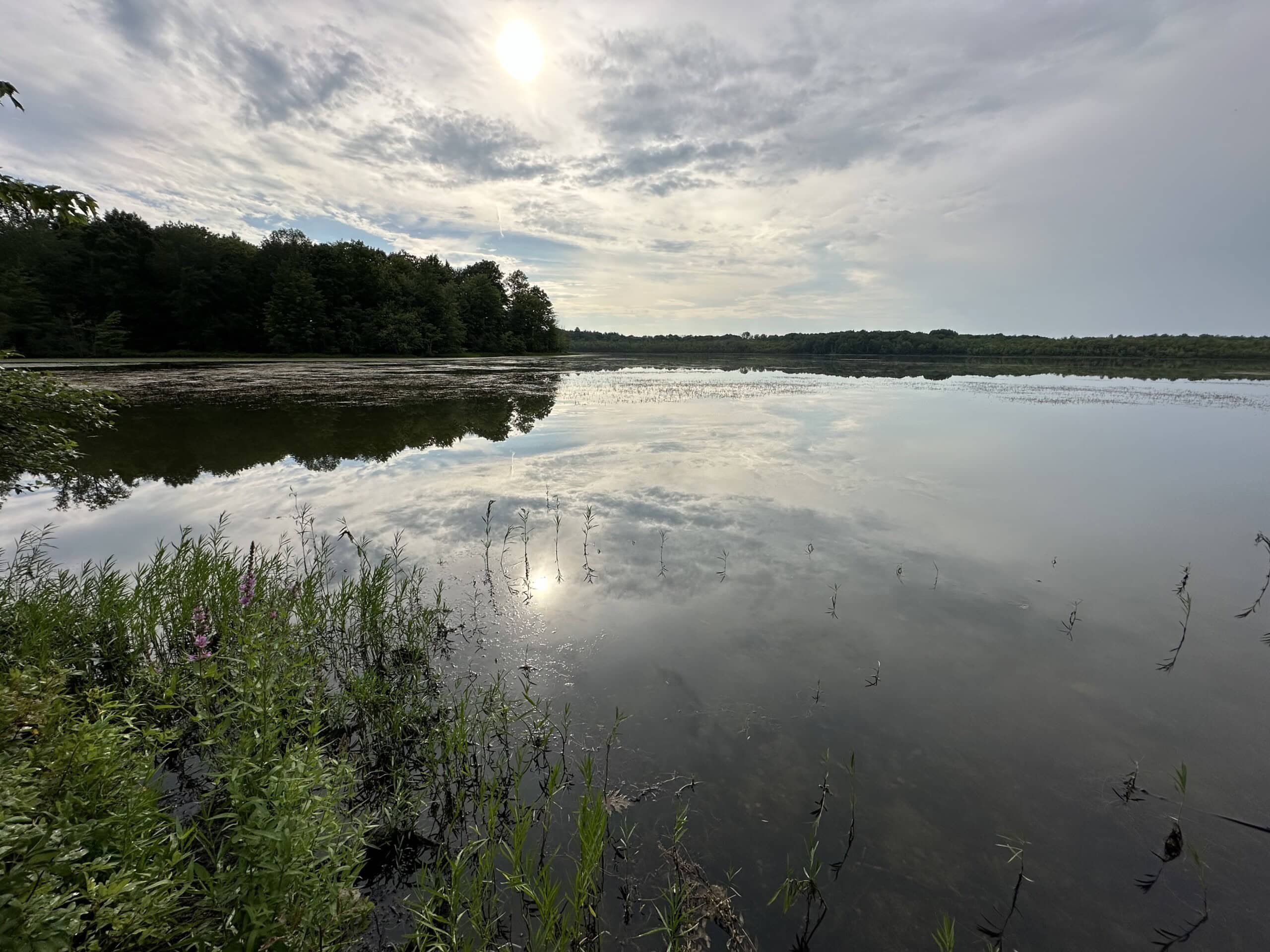 Sun reflecting off Beaver Lake