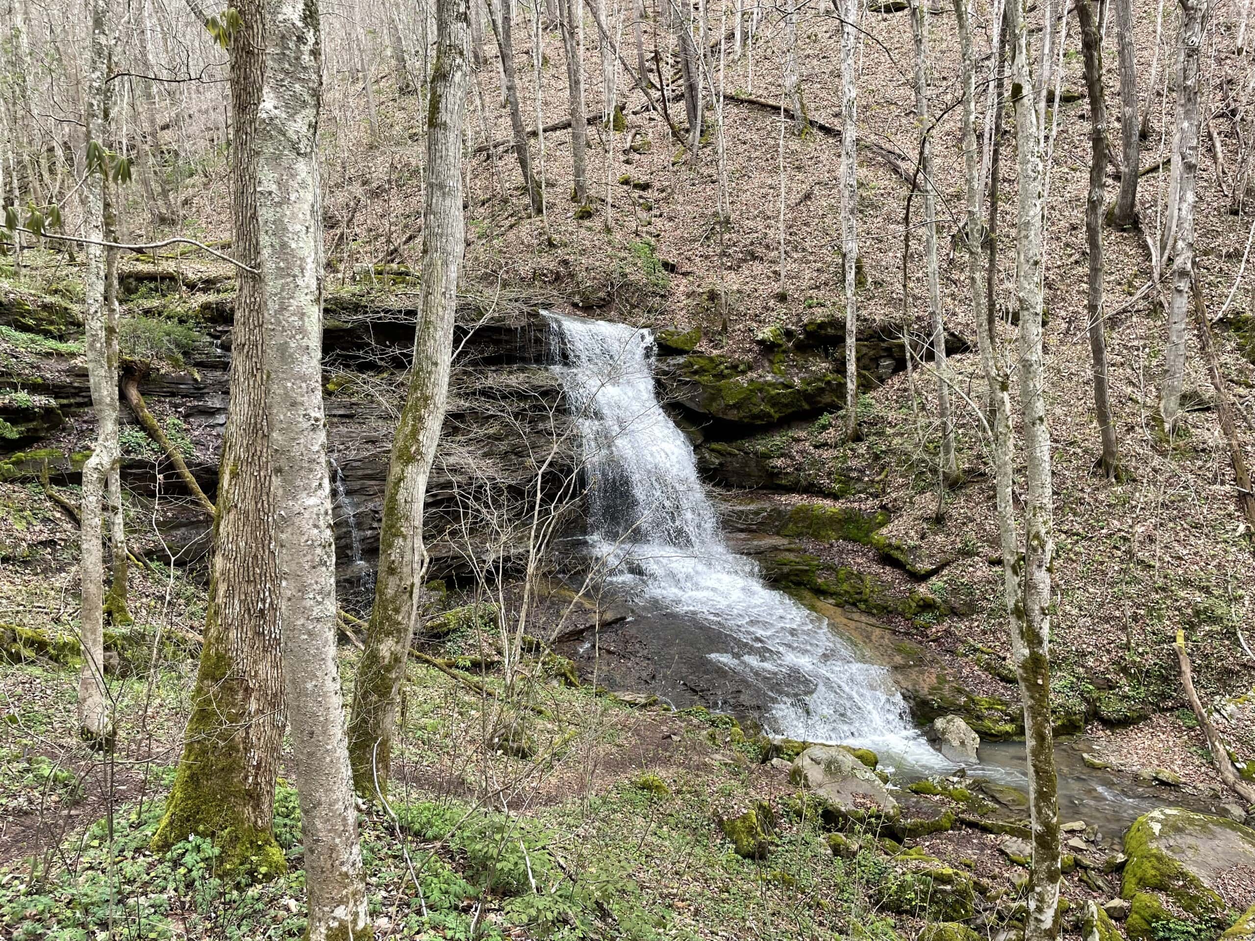 Big Branch Falls in the distance through trees